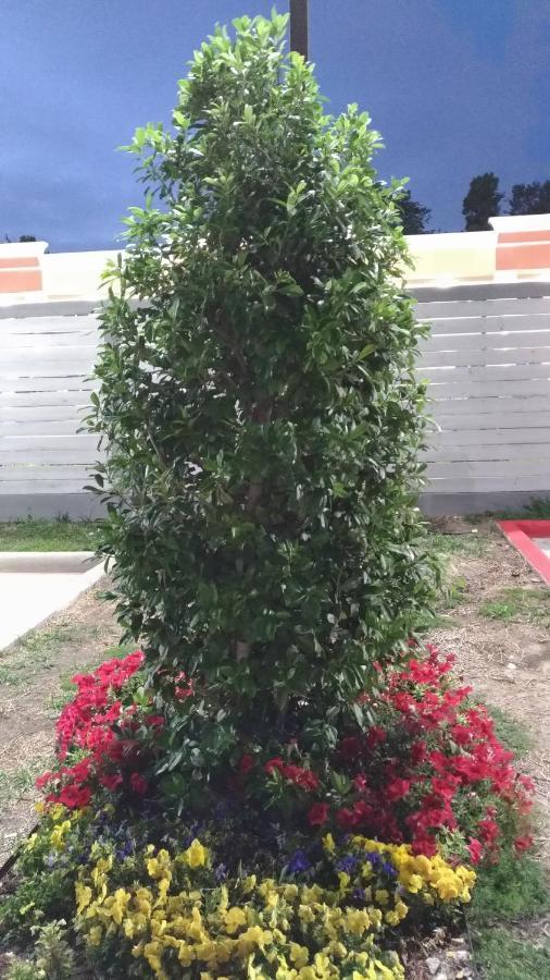 Haven Inn & Suites Downtown Houston. מראה חיצוני תמונה